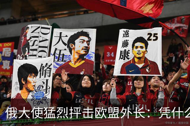 俄大使猛烈抨击欧盟外长：凭什么让我们总统接你电话
