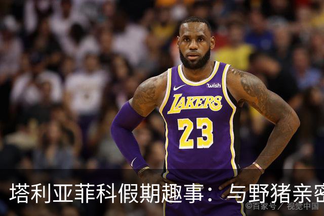 塔利亚菲科假期趣事：与野猪亲密接触遭轻咬